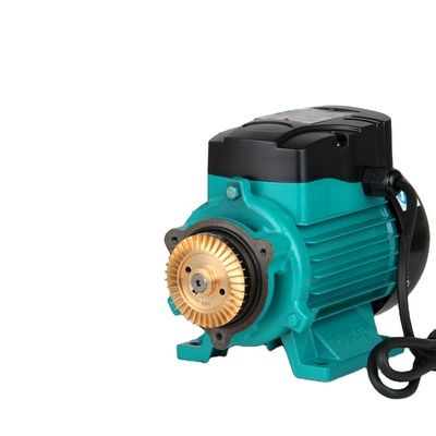 220V স্ব-প্রাইমিং হোমহাউজিং বুস্টার পাম্প হোম ওয়াটার সাপ্লাই জন্য ছোট