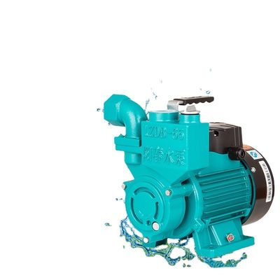 220V স্ব-প্রাইমিং হোমহাউজিং বুস্টার পাম্প হোম ওয়াটার সাপ্লাই জন্য ছোট
