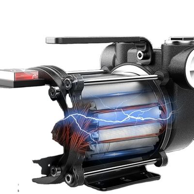 ছোট স্বয়ংক্রিয় 12V/24V বৈদ্যুতিক ডিজেল তেল পাম্প কাস্টমাইজযোগ্য OEM এবং ODM সমর্থিত