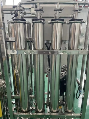1000LPH Industrial RO Water Treatment System with Automatic Controls