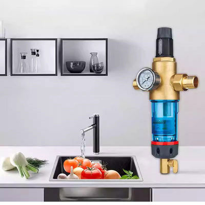 High Flow Rate Water Pre Filter Protecting the Whole House Water