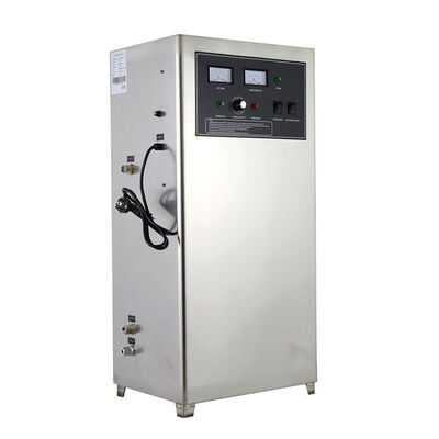 50g/h 100g/h Stainless Steel Industrial Grade Ozone Generator