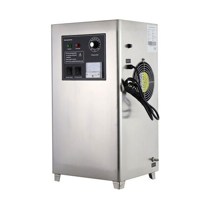 50g/h 100g/h Stainless Steel Industrial Grade Ozone Generator